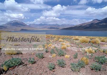Chile, El Norte Grande, arid landscape with mountains and small lake