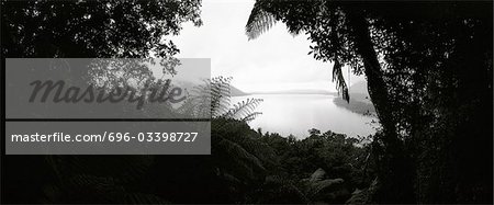 New Zealand, sea viewed through gap in vegetation, panoramic view