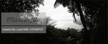 Neuseeland, gesehen durch die Lücke in der Vegetation, Blick auf Meer