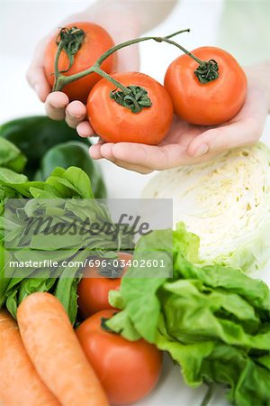 Hands holding vine tomatoes, assorted fresh vegetables in foreground