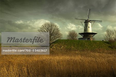 Moulin à vent sur Town Wall, Veere, Zeeland, Pays-Bas Moulin à vent sur Town Wall, Veere, Zeeland, Pays-Bas