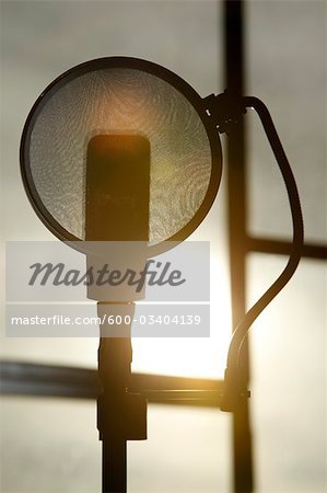 Microphone