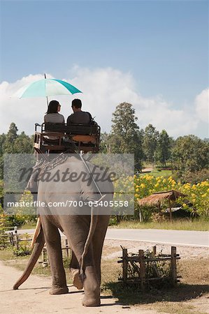 Touristes équitation d'éléphant, Thai Elephant Conservation Center, Lampang, Province de Lampang, Thaïlande du Nord, Thaïlande