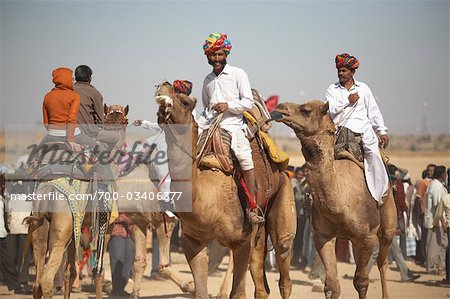 Camel Fair, Jaisalmer, Rajasthan, India