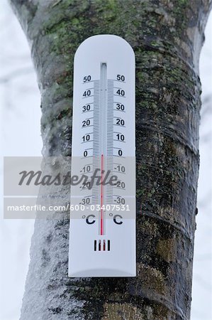 Thermometer Showing Freezing Point