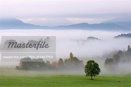 Foggy Morning Over Fuessen, Ostallgau, Allgau, Swabia, Bavaria, Germany