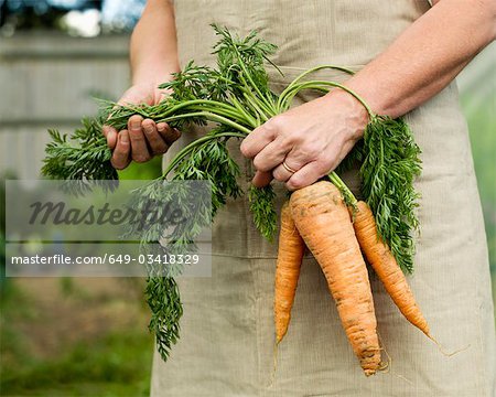 Une femme tenant un bouquet de carottes