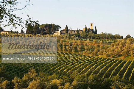 Italie, Toscane, San Gimignano. Rangées de vignes et d'oliviers de tapis la campagne devant un village rural à proximité de San Gimignano.