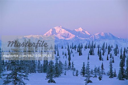 USA, Alaska. Lever du soleil janvier 26,2005 sur le mont McKinley, tel que vu du large passage dans la chaîne de l'Alaska au sud de Cantwell. Mont McKinley est aussi connu sous le nom Denali et est l'attraction touristique dans l'état de l'Alaska. La montagne est au milieu du Parc National Denali.