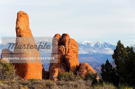 USA,Utah,Arches National Park,snow capped mountains of Manti La Sal National Forest and sandstone pinnacles at the Devils Garden