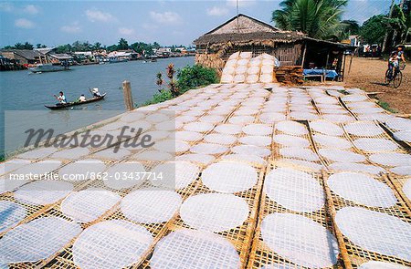 Trocknen Reisnudeln in der Sonne am Mekong Fluss in Sa Dez