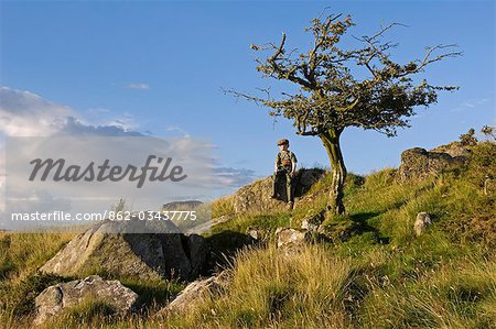 Wales,Conwy,Pentre Foilas. Boy sitting under a hawthorn tree on Gilar Hill farm. .