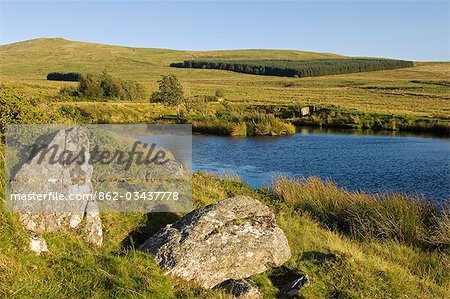 Wales,Conwy,Pentre Foilas. Gilar Farm and mountain taken in the evening from the duck ponds,with forestry block and rough grazing.