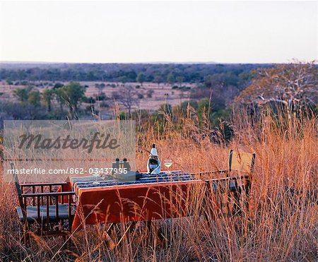 Zambie, South Luangwa National Park, Bushcamps Company. Sundowners dans la brousse.