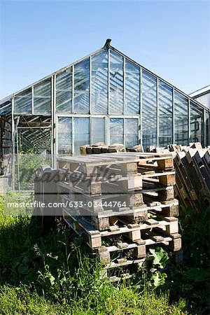 Wooden pallets stacked behind greenhouse