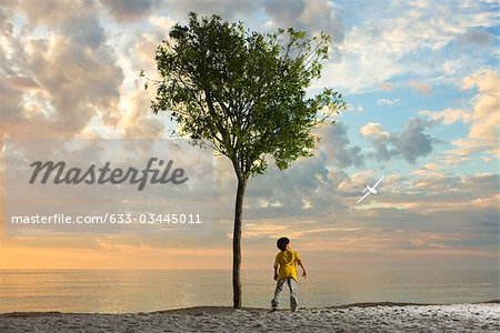 Boy standing beneath tree on beach watching plane soaring through the air