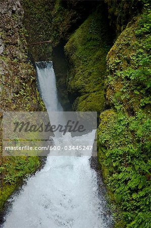 Wahclella Falls Near Bonneville Dam, Columbia River Gorge, Multnomah County, Oregon, USA