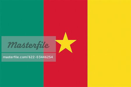 Cameroon National Flag