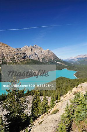 Peyto Lake, Parc National Banff, Alberta, Canada