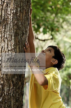 Young boy trying to climb a tree