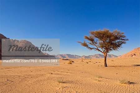 Désert, Wadi Rum, Jordanie