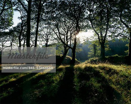 Blackbury Camp. View the remains of the Iron Age hill fort.