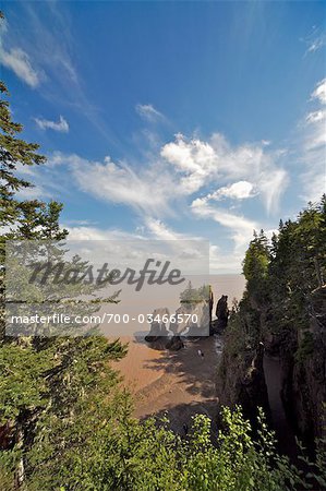 Pot de fleurs des roches, la baie de Fundy, Nouveau-Brunswick, Canada