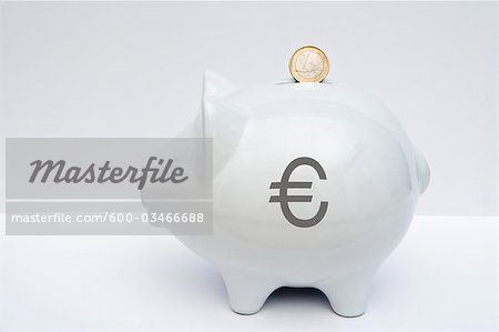 Piggy Bank with Euros