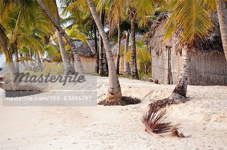 Tropical Beach, San Blas Islands, Panama