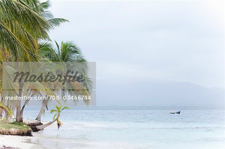 Tropical Beach, San Blas Islands, Panama Tropical Beach, San Blas Islands, Panama