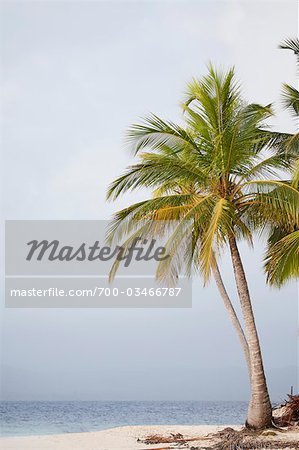 Tropical Beach, San Blas Inseln, Panama