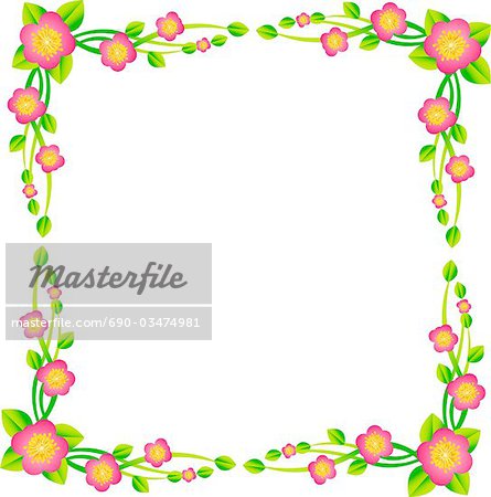 Blume-frame