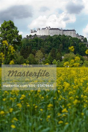 Hohensalzburg Castle and Rape Field, Salzburg, Austria