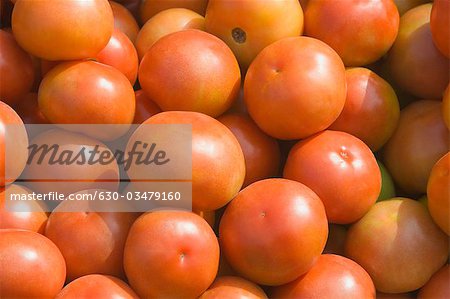 Close-up of tomatoes