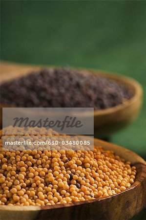 Yellow and black mustard seeds in ladles