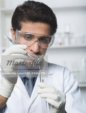 Scientist examining a plant in test tube