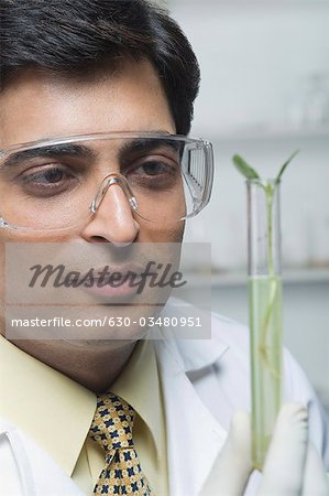Scientist examining a plant in test tube