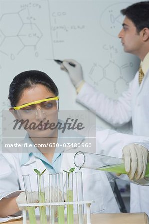 Scientists working in a laboratory