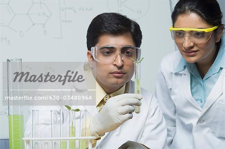 Scientists experimenting in a laboratory