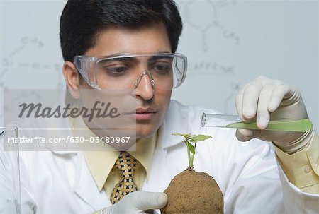 Scientist experimenting on a plant