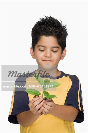 Close-up of a boy holding a plant