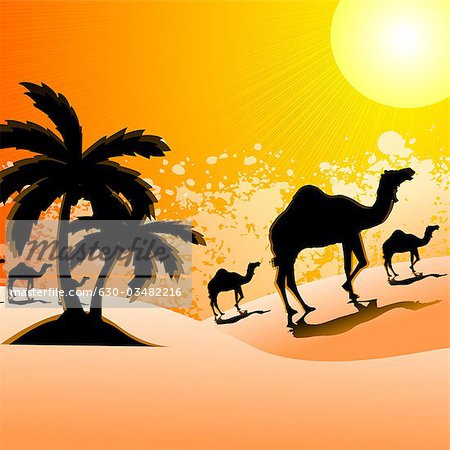 Silhouette de chameaux marchant dans un paysage désertique, Rajasthan, Inde