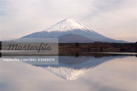 Fujisan, 3776m, betrachtet über Shoji-Ko, einem der Seen in der Region in Honshu, Japan, Asien Fuji Go-Ko (fünf Fuji-Seen)