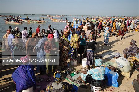 Poissons de Mbour marché, Mbour, Sénégal, Afrique de l'Ouest, Afrique