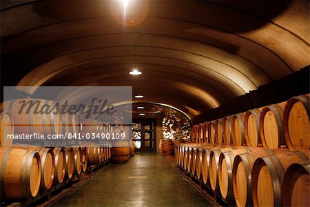 Wine cellar at the Vistalba Winery, Lujan de Coyu, Mendoza, Argentina, South America