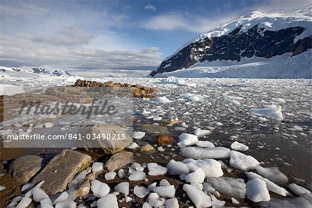 Neko Harbor, péninsule de l'Antarctique, l'Antarctique, les régions polaires