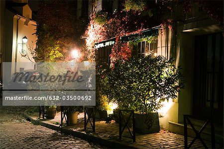 Plantes en pot sur le trottoir pendant la nuit, Paris, France