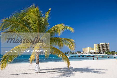 Ocho Rios, Jamaica, West Indies, Caribbean, Central America