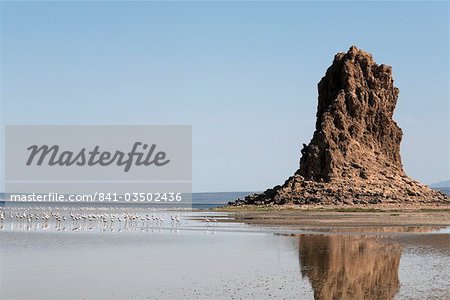 Le paysage désolé de Lac Abbe, parsemé de cheminées de pierre calcaire, Djibouti, Afrique Le paysage désolé de Lac Abbe, parsemé de cheminées de pierre calcaire, Djibouti, Afrique