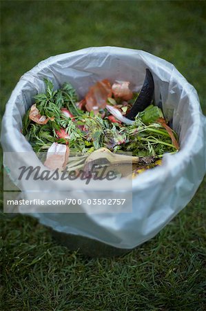 Bac à compost